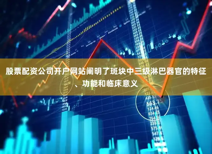 股票配资公司开户网站阐明了斑块中三级淋巴器官的特征、功能和临床意义