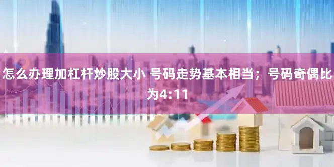 怎么办理加杠杆炒股大小 号码走势基本相当；号码奇偶比为4:11