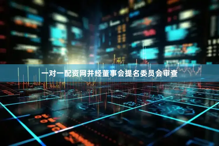 一对一配资网并经董事会提名委员会审查