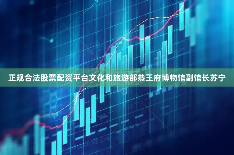 正规合法股票配资平台文化和旅游部恭王府博物馆副馆长苏宁