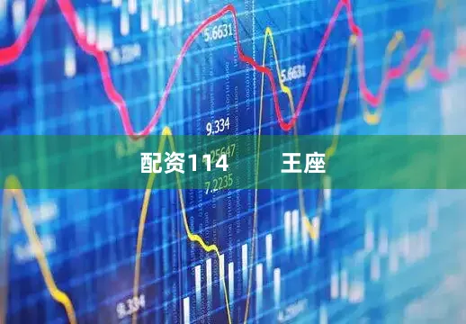 配资114        王座