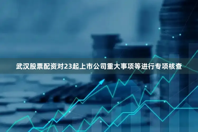 武汉股票配资对23起上市公司重大事项等进行专项核查
